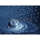 Eurolite Half mirror ball 40cm motorized