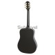 Epiphone PRO-1