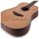 Takamine GD20-NS