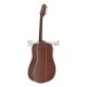 Takamine GD20-NS