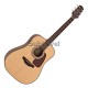 Takamine GD10-NS