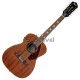 Fender Tim Armstrong Hellcat 12 String