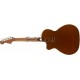 Fender Newporter Player