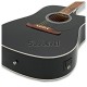 Fender FA-125CE