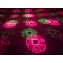 Eurolite LED Triple FX Laser Box gaismu efekts