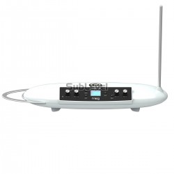 Moog Theremini sintezators