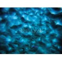 Waterwave gaismas efekts (Lamp: 24v/250w)